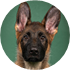 Mökö